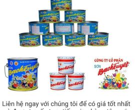 img20230828065610-2431.jpg